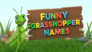 funny grasshopper names