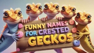 funny names for crested geckos