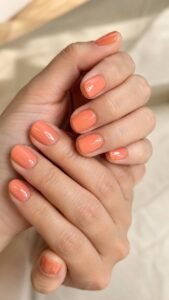 Soft Persimmon Pulp
