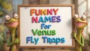 funny names for venus fly traps