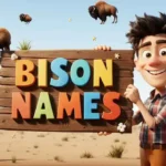 bison names