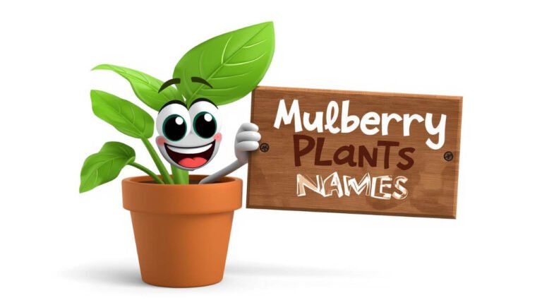 mulberry plant names